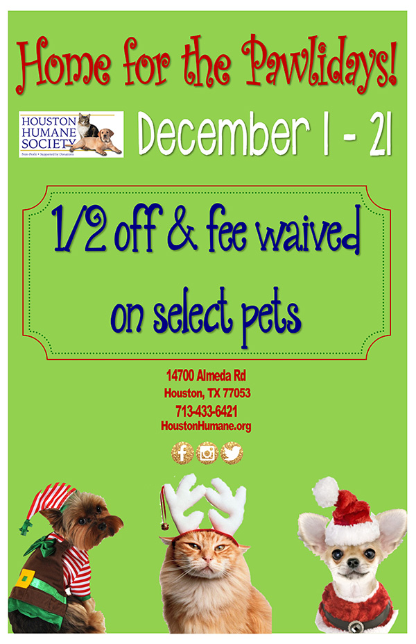 dec18adoptionpromo