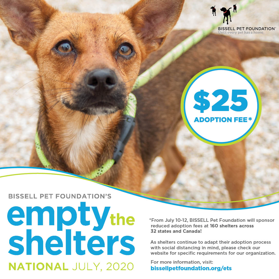Bissell Empty the Shelters $25 Adoptions