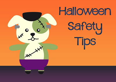 Houston Humane Society | Halloween Safety Tips