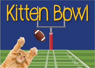 Houston Humane Society | Kitty Bowl