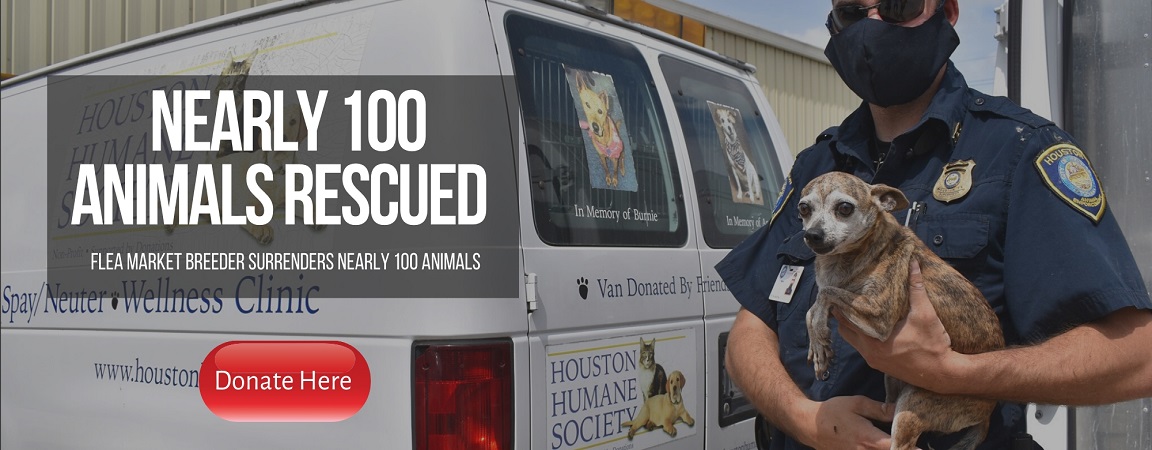 houston animal shelter