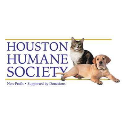 Cat Adoption, Pet Adoption in Houston, TX