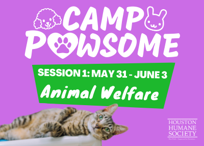 Camp Pawsome Session 1