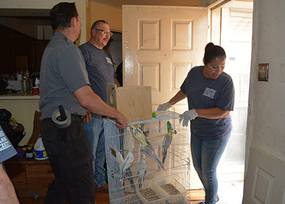 Houston Humane Society | HHS saves 105 animals from filthy apartment