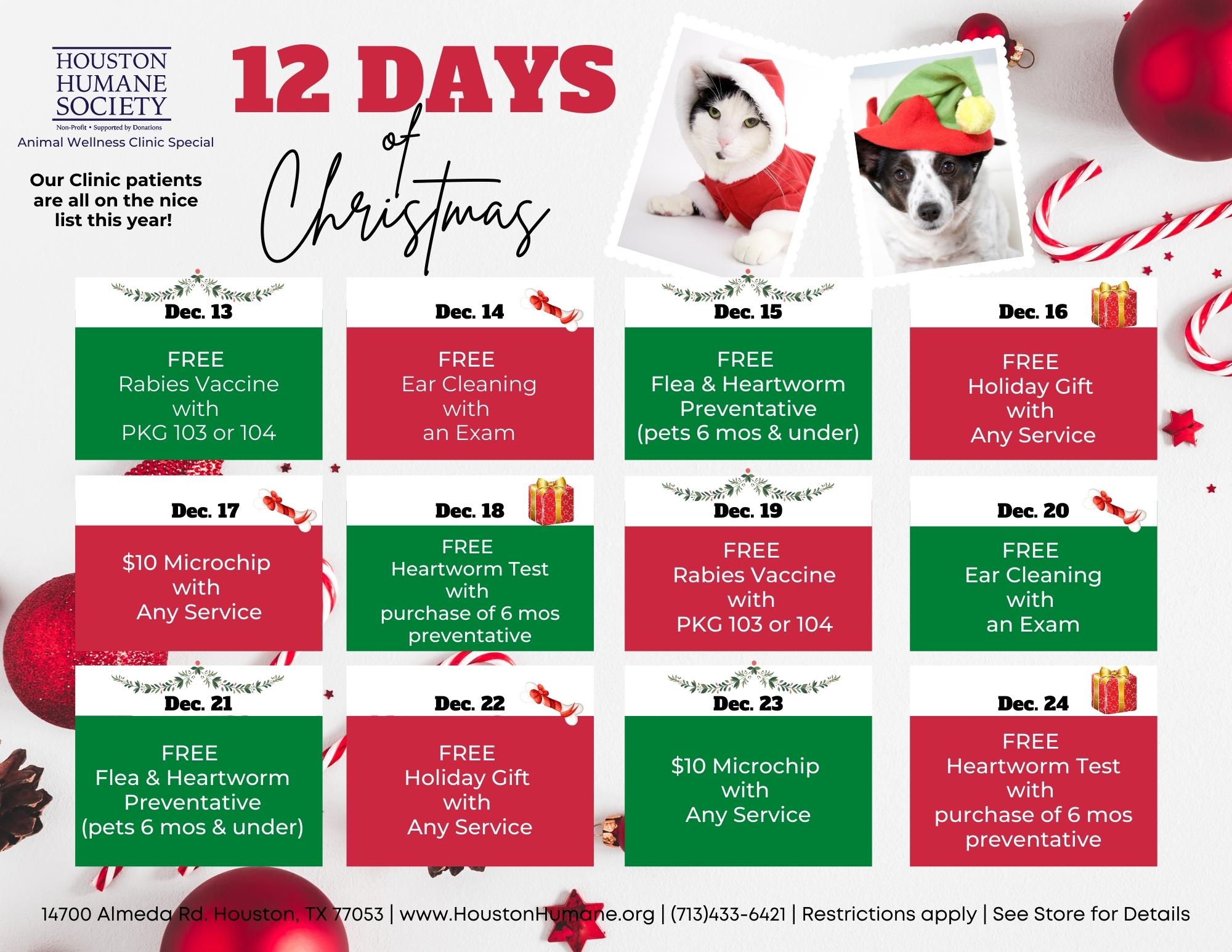 12-days-of-christmas-deals-flyer