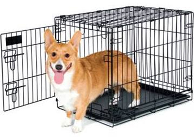 Houston Humane Society | Crate Training Tips from HHS