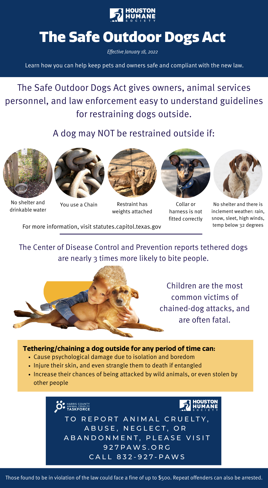 animal-cruelty-website-graphic