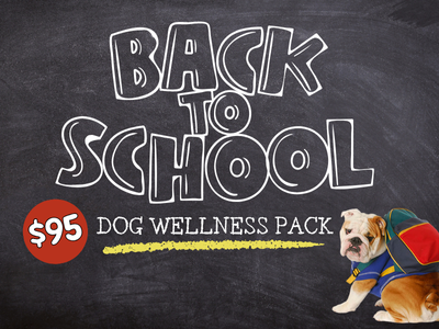 Houston Humane Society | August Clinic Special
