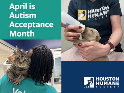 Houston Humane Society | The Comfort of Connection: How Animals Support Individuals with Autism
