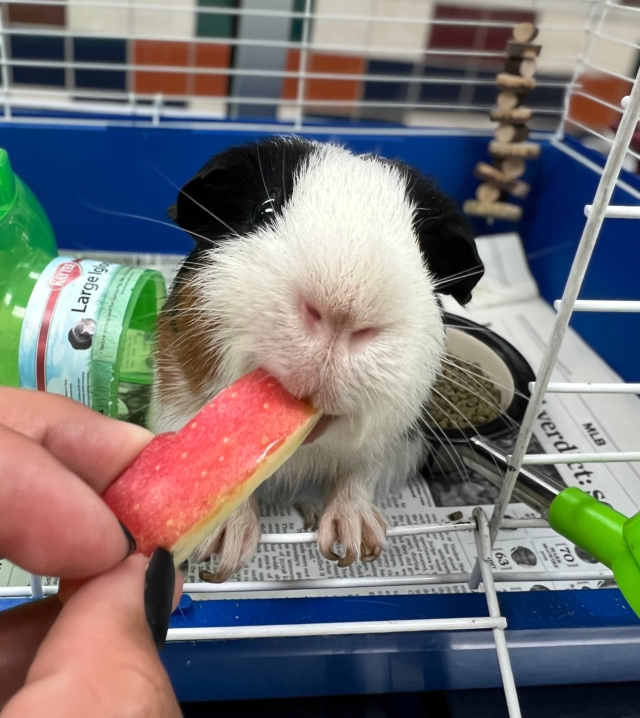 back-to-school-enrichment-3
