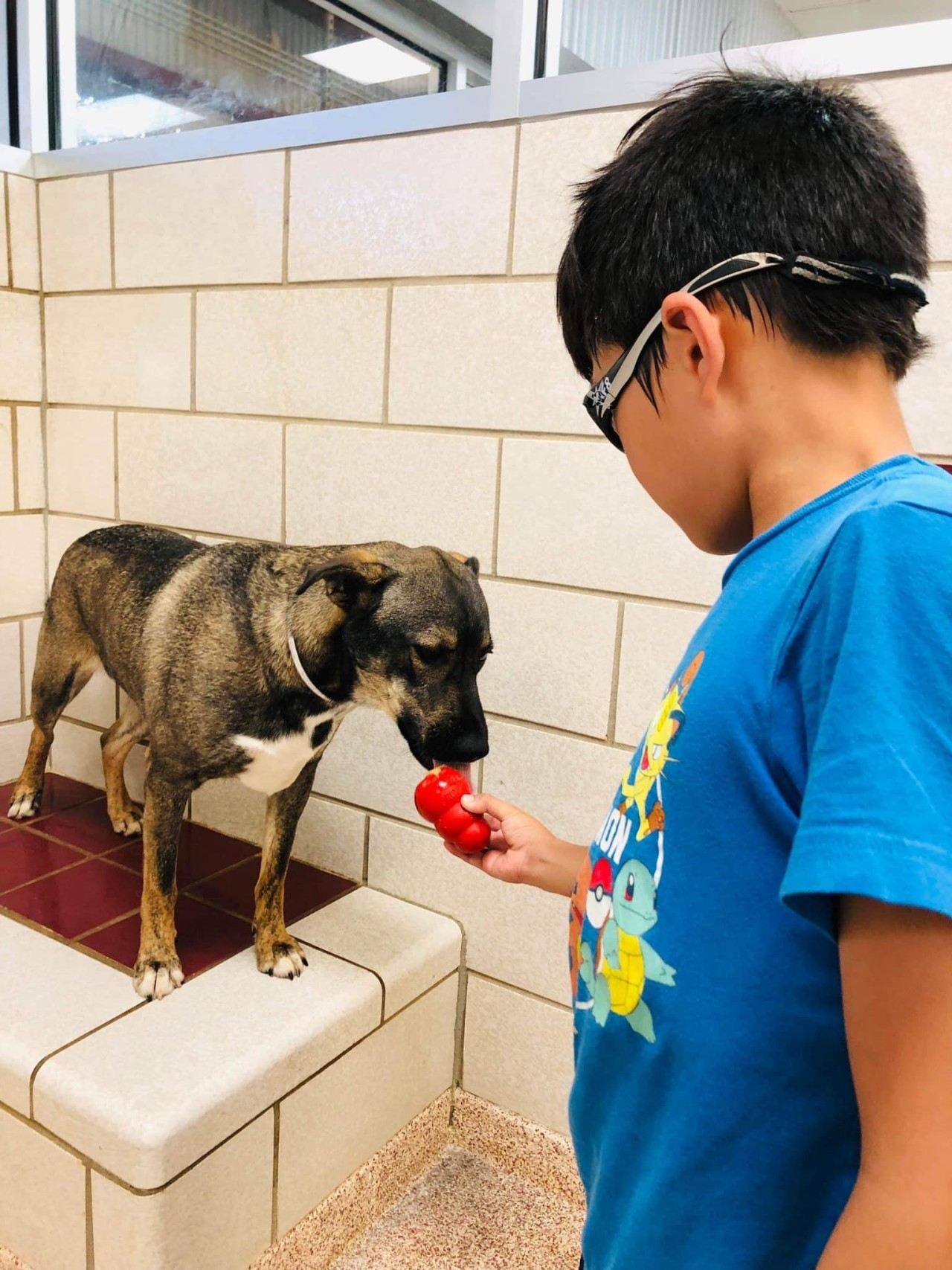 back-to-school-enrichment-6