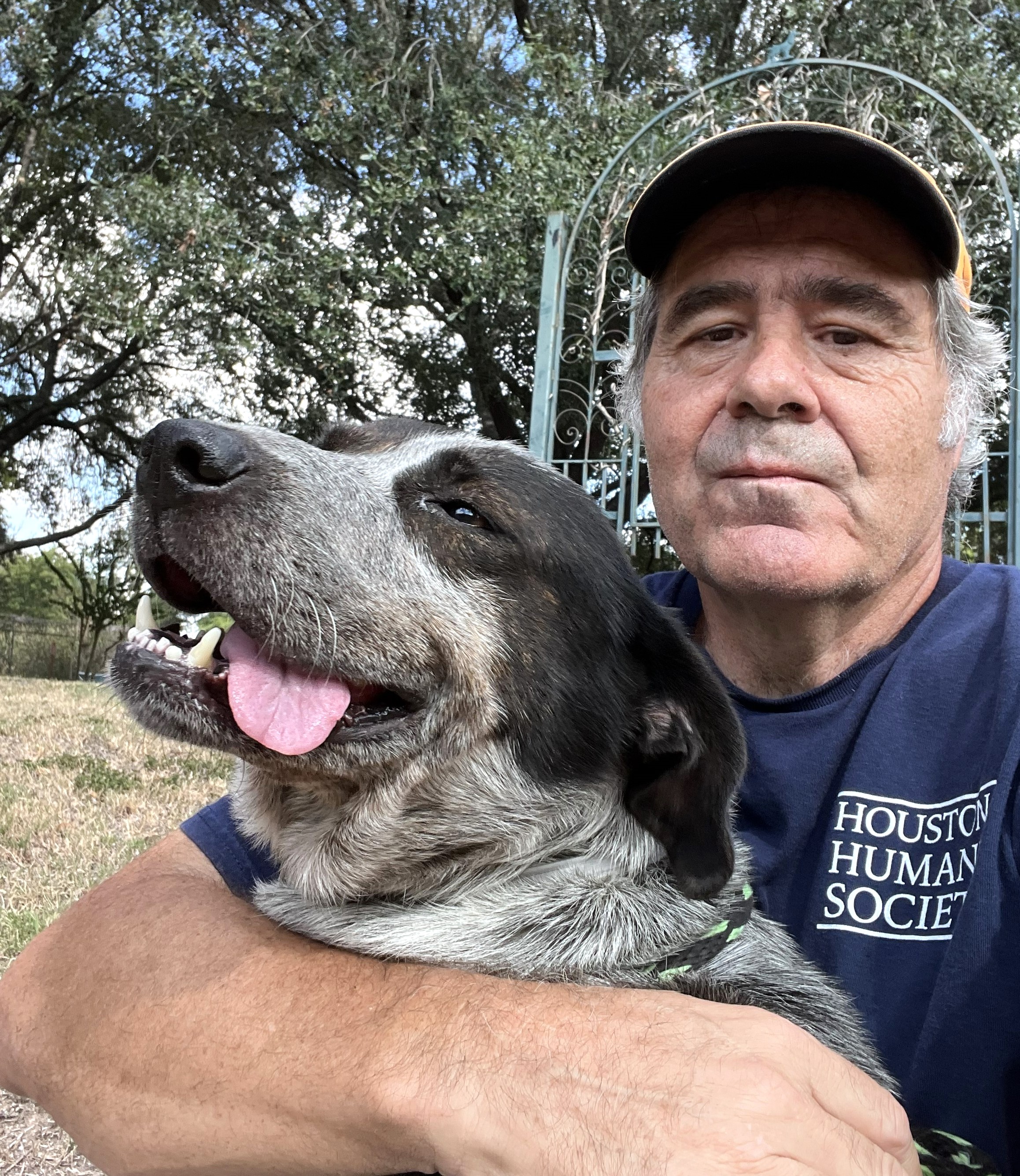 blackberry7-2025-10-16