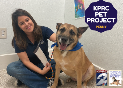 Houston Humane Society | Penny