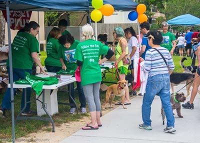 Houston Humane Society 2017 Fun Run Photos Nature Dog