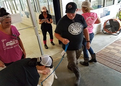 Houston Humane Society | Hurricane Harvey Update - 8/30