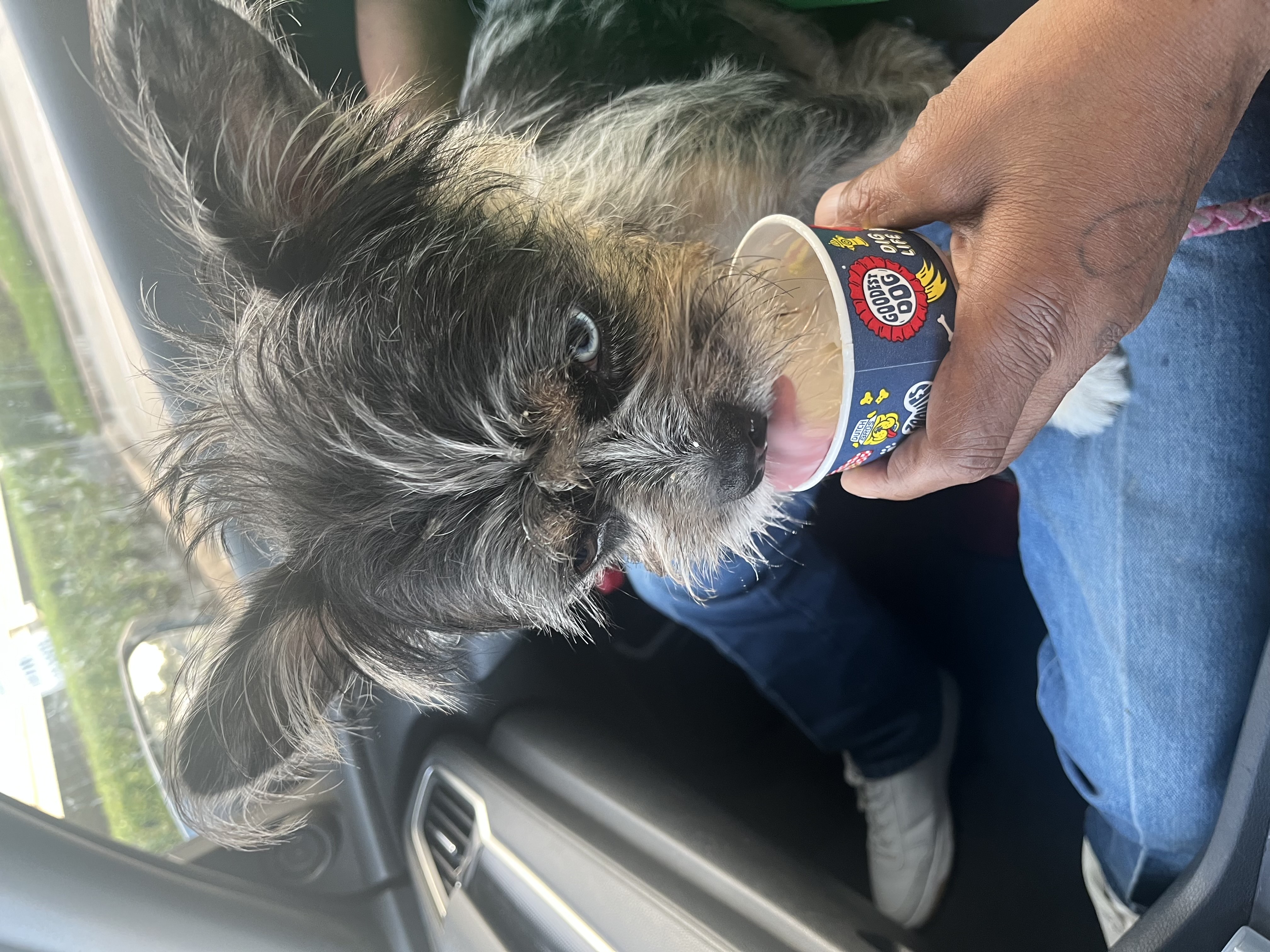 bonita-happy-tail-1