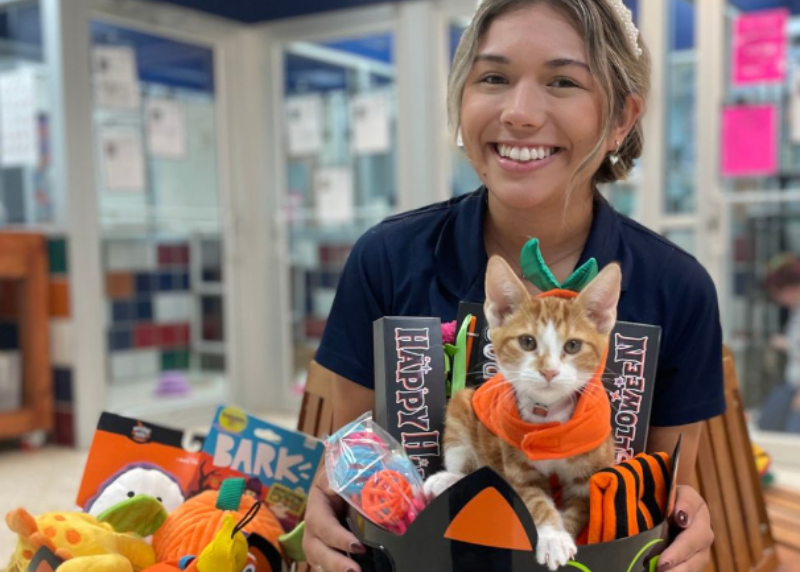 Houston Humane Society | Help Houston Humane Society Fill Boo Baskets for Shelter Pets