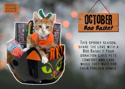Houston Humane Society | Boo Baskets