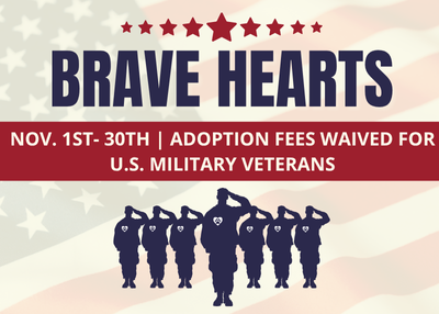 Houston Humane Society | Brave Hearts Adoption Special