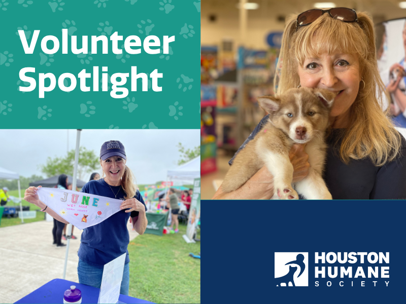 Houston Humane Society | Volunteer Spotlight: Meet Brigitte