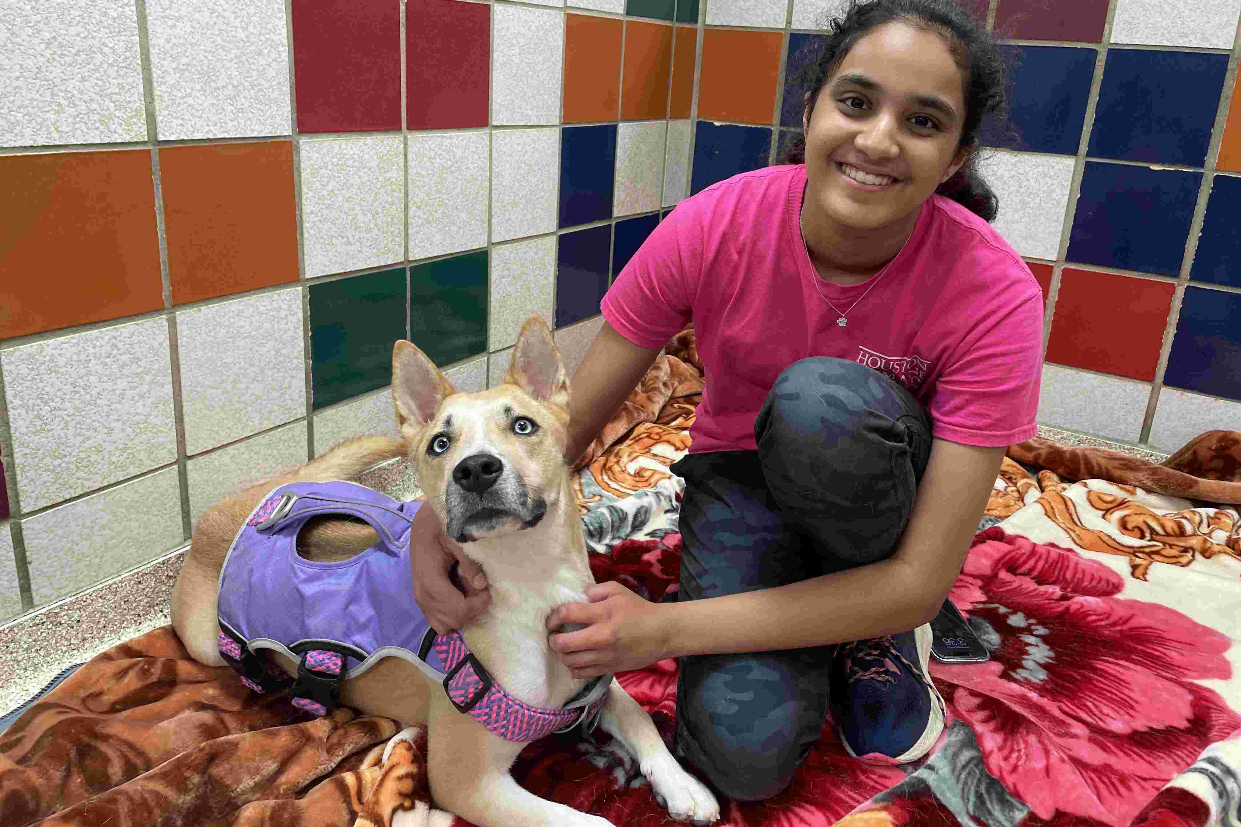 camp-pawesome-event-pic-4