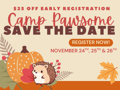 Houston Humane Society | Camp Pawsome: Fall Session