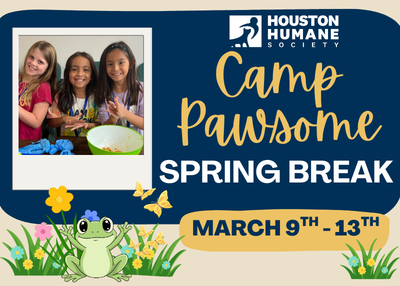 Houston Humane Society | Camp Pawsome: Spring Break