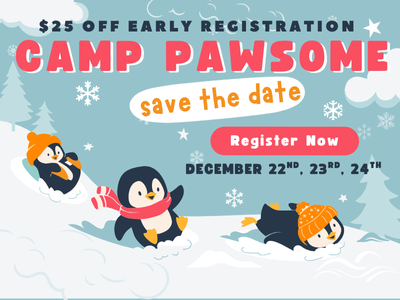 Houston Humane Society | Camp Pawsome: Winter Session 1
