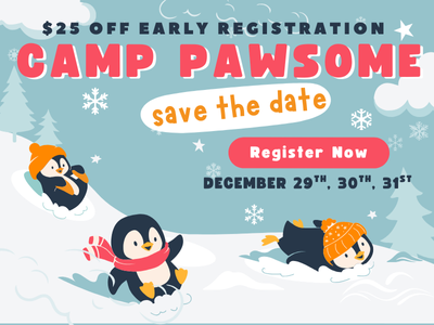 Houston Humane Society | Camp Pawsome: Winter Session 2