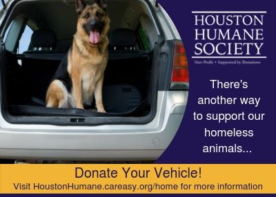 cars-donation-graphic