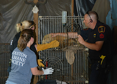 Houston Humane Society | Spring Seizure 