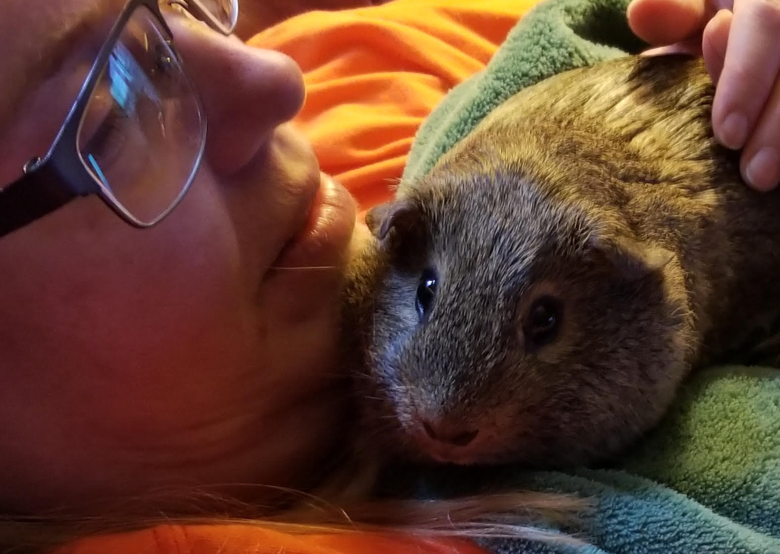 charliebear