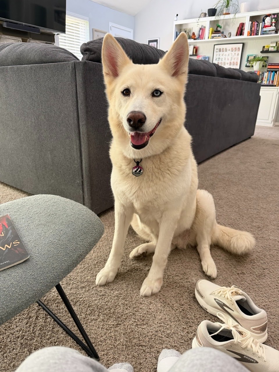 claire-happy-tail-1