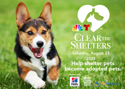 Houston Humane Society | Clear the Shelters - Stand Out Weekend