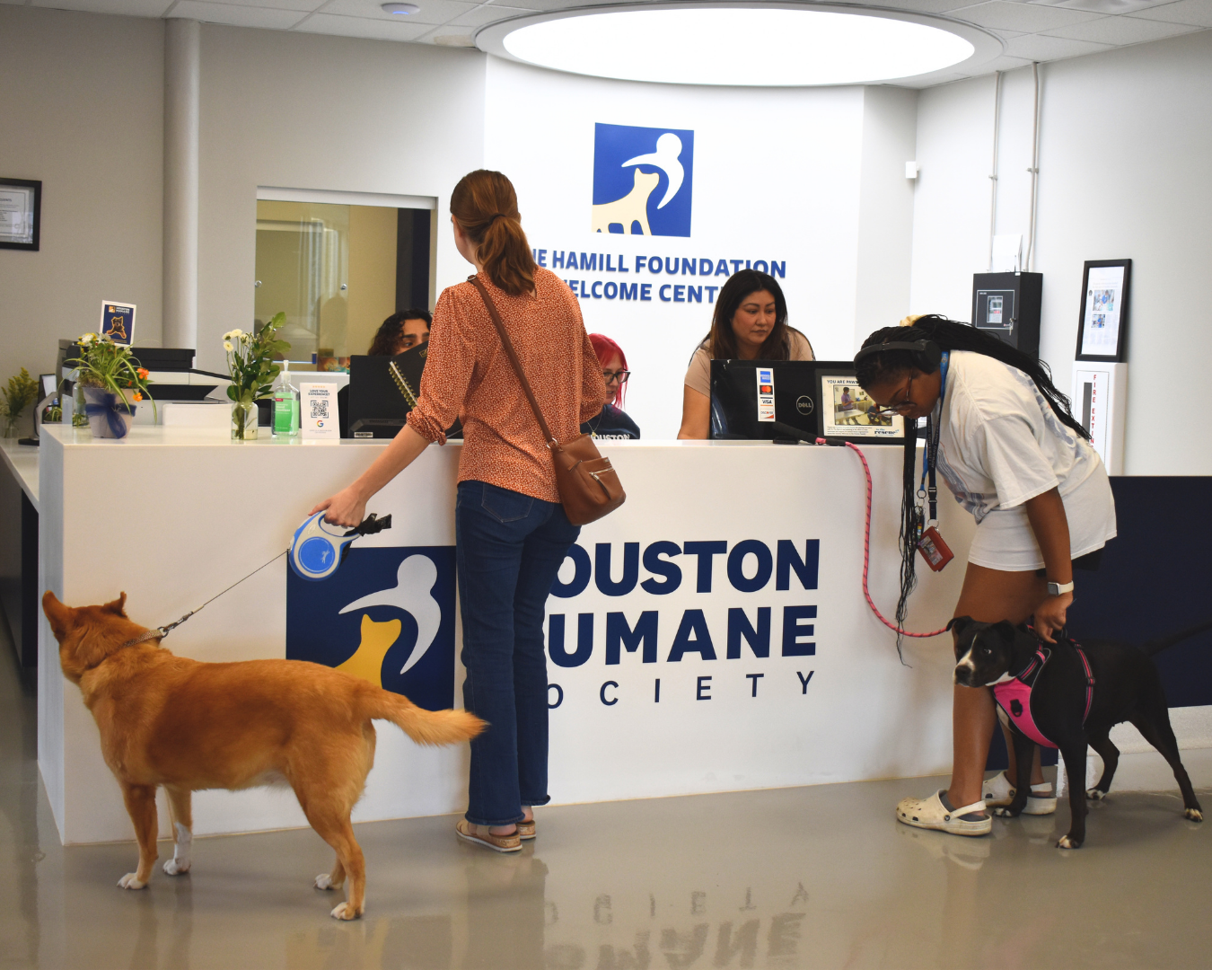 clients and pets at the Houston Humane Society Veterinary Clinic front desk