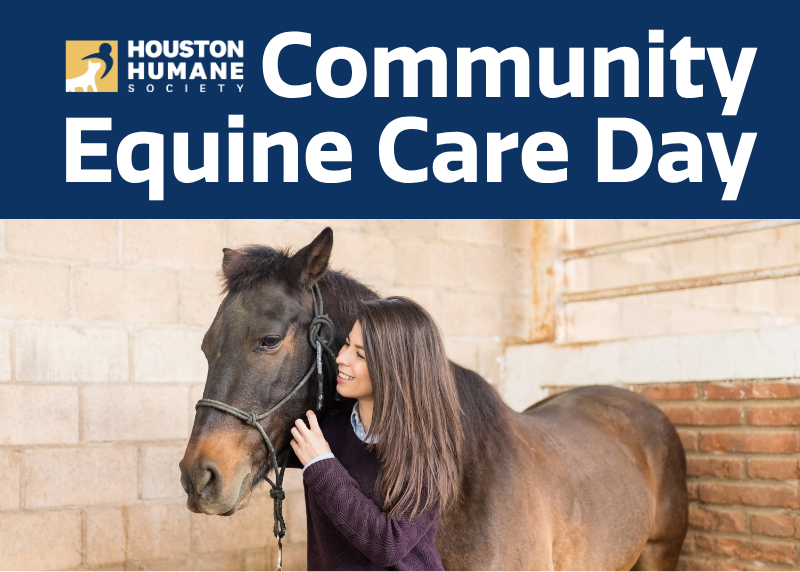 Houston Humane Society | Community Equine Care Day