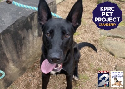 Houston Humane Society | Cranberry