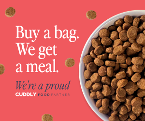 cuddly-website-banner-300x250-2