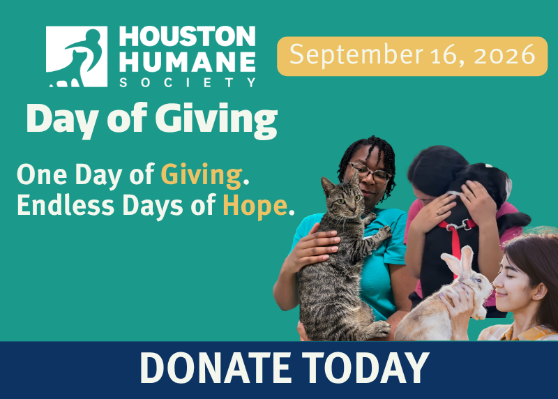 Houston Humane Society | Day of Giving