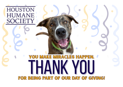 Houston Humane Society | Celebrating Our Donors for Surpassing the $20,000 Goal on Our Day of Giving