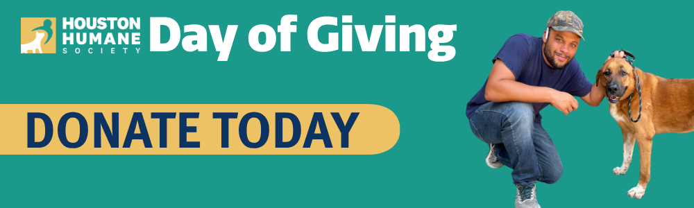 Clickable graphic for Day of Giving that reads "Donate Now"