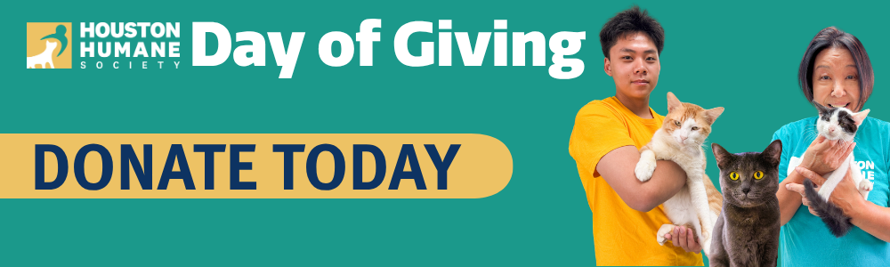 Clickable graphic for Day of Giving that reads "Donate Now"