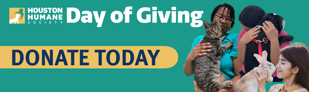 Clickable graphic for Day of Giving that reads "Donate Now"