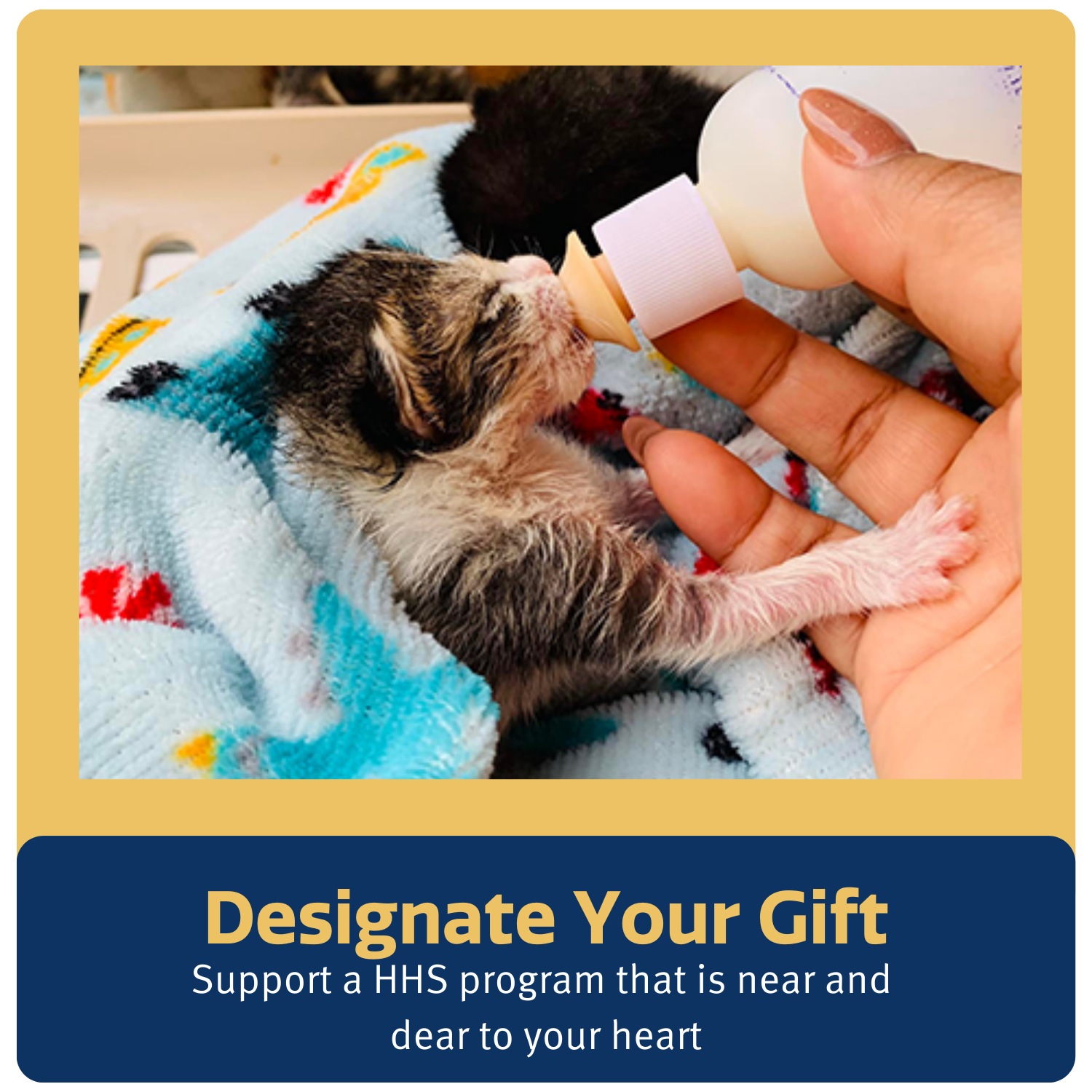 designate-your-gift(1)