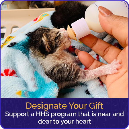 designate-your-gift