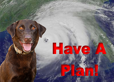 Houston Humane Society | Disaster Prep Checklist