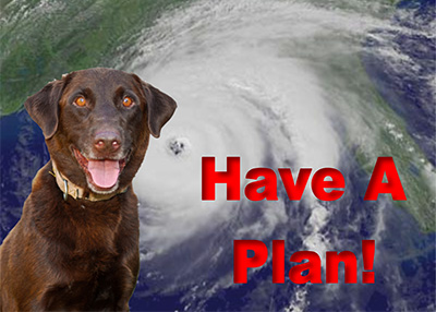 Houston Humane Society | Disaster Checklist for Pets