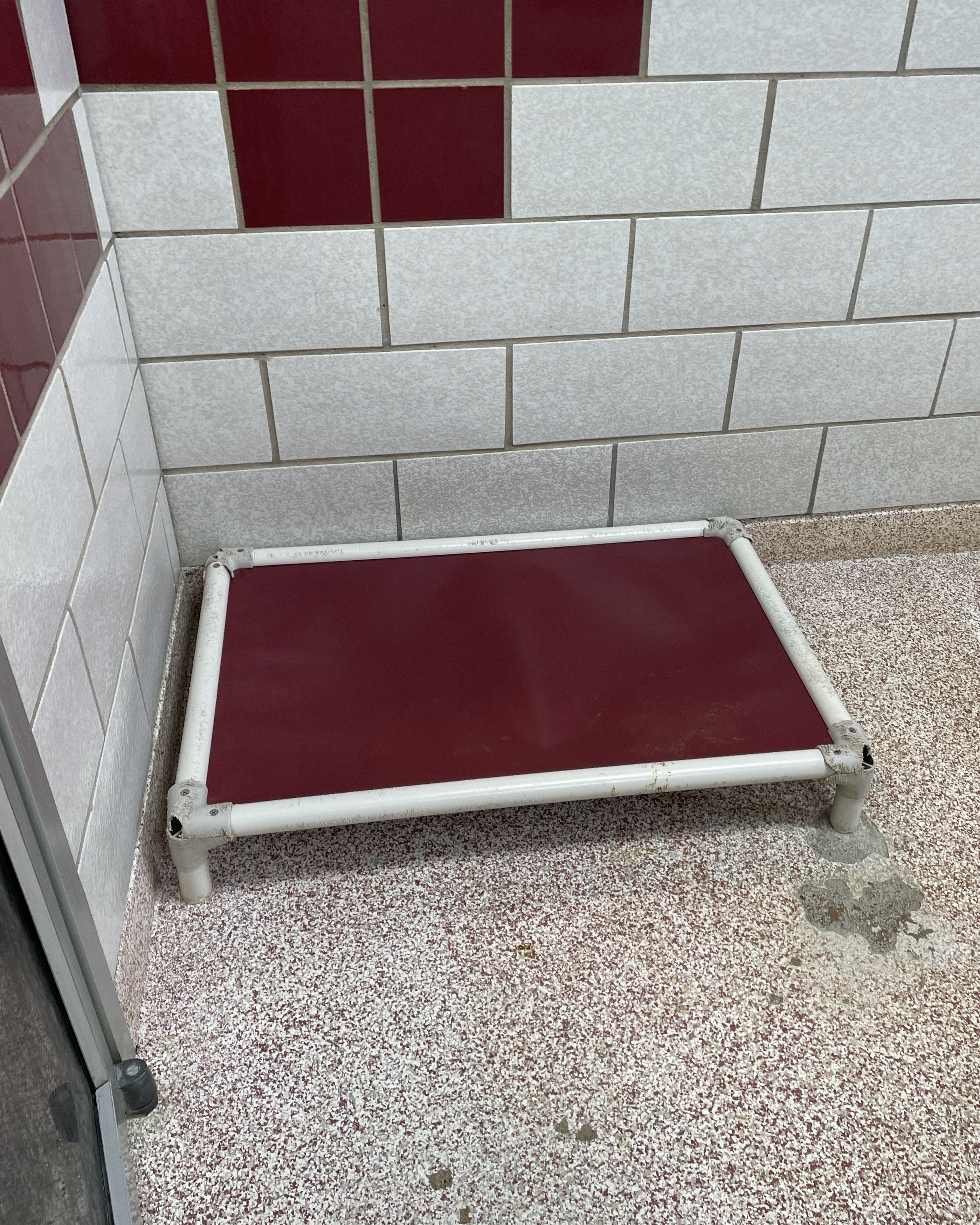 dog-bed-blog-2