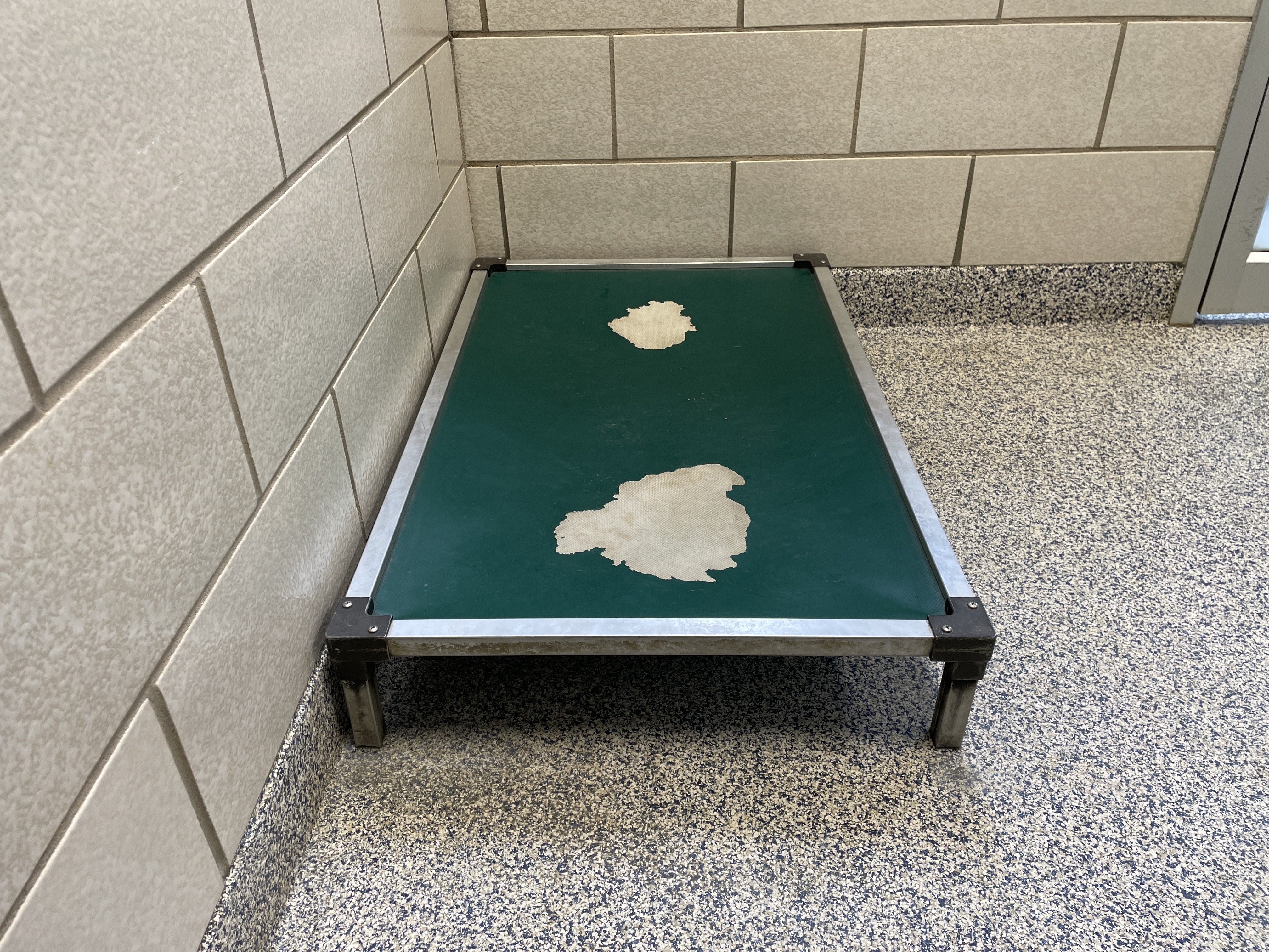 dog-bed-blog-6