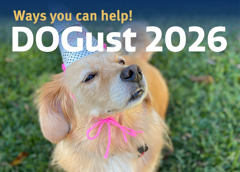 Houston Humane Society | Celebrate DOGust by Making a Difference!